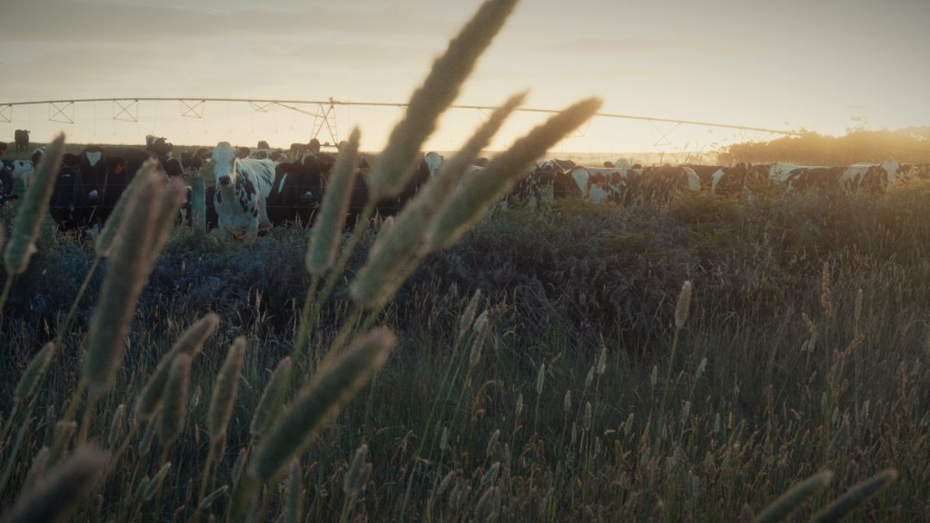 timeline 1 01 12 23 12