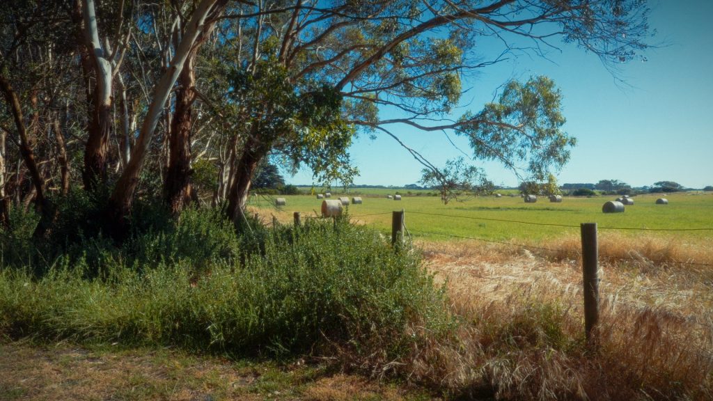 timeline 1 01 44 59 23